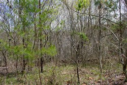 property photo for Hidden Hills Tract 19, 5.76 acres for sale in Sequatchie County, Tennessee