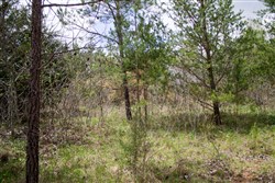 property photo for Hidden Hills Tract 19, 5.76 acres for sale in Sequatchie County, Tennessee