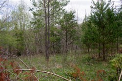 property photo for Hidden Hills Tract 19, 5.76 acres for sale in Sequatchie County, Tennessee