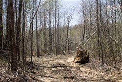 property photo for Hidden Hills Tract 2, 5.43 acres for sale in Sequatchie County, Tennessee