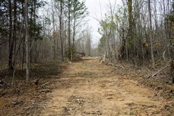property photo for Hidden Hills Tract 20, 7.16 acres for sale in Sequatchie County, Tennessee