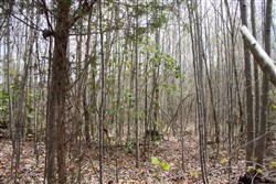 property photo for Hidden Hills Tract 20, 7.16 acres for sale in Sequatchie County, Tennessee