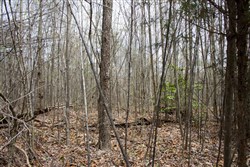 property photo for Hidden Hills Tract 20, 7.16 acres for sale in Sequatchie County, Tennessee