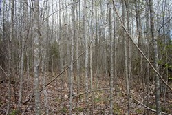 property photo for Hidden Hills Tract 20, 7.16 acres for sale in Sequatchie County, Tennessee