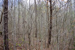 property photo for Hidden Hills Tract 21, 6.48 acres for sale in Sequatchie County, Tennessee