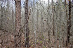 property photo for Hidden Hills Tract 21, 6.48 acres for sale in Sequatchie County, Tennessee
