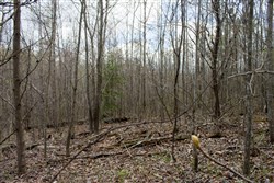 property photo for Hidden Hills Tract 21, 6.48 acres for sale in Sequatchie County, Tennessee