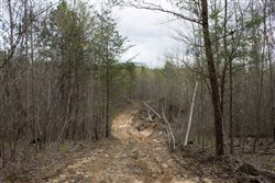 property photo for Hidden Hills Tract 21, 6.48 acres for sale in Sequatchie County, Tennessee