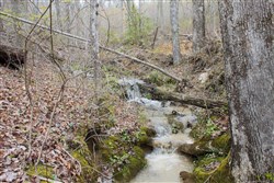 property photo for Hidden Hills Tract 22, 12.9 acres for sale in Sequatchie County, Tennessee