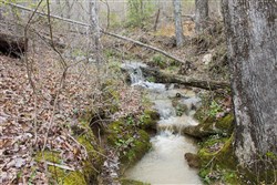 property photo for Hidden Hills Tract 22, 12.9 acres for sale in Sequatchie County, Tennessee