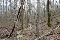 property photo for Hidden Hills Tract 22, 12.9 acres for sale in Sequatchie County, Tennessee