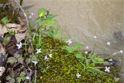 property photo for Hidden Hills Tract 22, 12.9 acres for sale in Sequatchie County, Tennessee