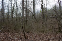 property photo for Hidden Hills Tract 22, 12.9 acres for sale in Sequatchie County, Tennessee