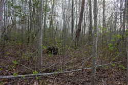 property photo for Hidden Hills Tract 23, 5.86 acres for sale in Sequatchie County, Tennessee