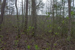 property photo for Hidden Hills Tract 23, 5.86 acres for sale in Sequatchie County, Tennessee