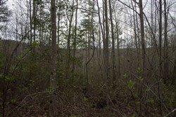 property photo for Hidden Hills Tract 23, 5.86 acres for sale in Sequatchie County, Tennessee