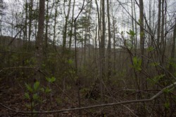 property photo for Hidden Hills Tract 23, 5.86 acres for sale in Sequatchie County, Tennessee