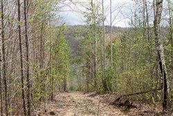 property photo for Hidden Hills Tract 24, 5.04 acres for sale in Sequatchie County, Tennessee