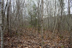 property photo for Hidden Hills Tract 24, 5.04 acres for sale in Sequatchie County, Tennessee