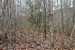property photo for Hidden Hills Tract 24, 5.04 acres for sale in Sequatchie County, Tennessee
