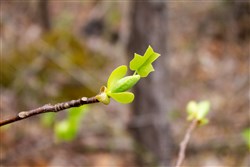 property photo for Hidden Hills Tract 24, 5.04 acres for sale in Sequatchie County, Tennessee