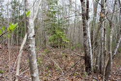 property photo for Hidden Hills Tract 24, 5.04 acres for sale in Sequatchie County, Tennessee