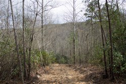property photo for Hidden Hills Tract 25, 5.09 acres for sale in Sequatchie County, Tennessee