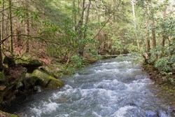 property photo for Hidden Hills Tract 25, 5.09 acres for sale in Sequatchie County, Tennessee