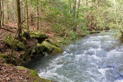 property photo for Hidden Hills Tract 25, 5.09 acres for sale in Sequatchie County, Tennessee