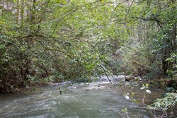 property photo for Hidden Hills Tract 25, 5.09 acres for sale in Sequatchie County, Tennessee