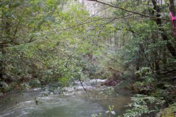 property photo for Hidden Hills Tract 25, 5.09 acres for sale in Sequatchie County, Tennessee