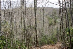 property photo for Hidden Hills Tract 26, 5.34 acres for sale in Sequatchie County, Tennessee