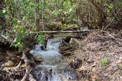 property photo for Hidden Hills Tract 26, 5.34 acres for sale in Sequatchie County, Tennessee