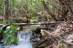 property photo for Hidden Hills Tract 26, 5.34 acres for sale in Sequatchie County, Tennessee