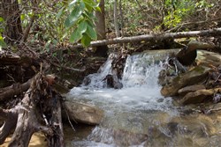 property photo for Hidden Hills Tract 26, 5.34 acres for sale in Sequatchie County, Tennessee