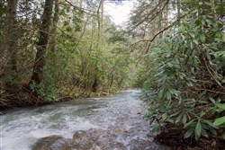 property photo for Hidden Hills Tract 26, 5.34 acres for sale in Sequatchie County, Tennessee