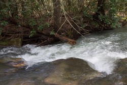 property photo for Hidden Hills Tract 26, 5.34 acres for sale in Sequatchie County, Tennessee