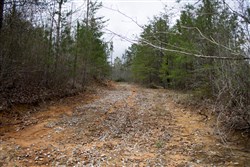 property photo for Hidden Hills Tract 27, 6.45 acres for sale in Sequatchie County, Tennessee