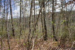 property photo for Hidden Hills Tract 27, 6.45 acres for sale in Sequatchie County, Tennessee
