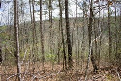 property photo for Hidden Hills Tract 27, 6.45 acres for sale in Sequatchie County, Tennessee