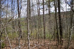 property photo for Hidden Hills Tract 27, 6.45 acres for sale in Sequatchie County, Tennessee