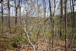 property photo for Hidden Hills Tract 27, 6.45 acres for sale in Sequatchie County, Tennessee