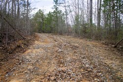 property photo for Hidden Hills Tract 28, 5.09 acres for sale in Sequatchie County, Tennessee