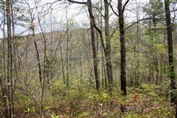 property photo for Hidden Hills Tract 28, 5.09 acres for sale in Sequatchie County, Tennessee
