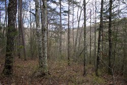 property photo for Hidden Hills Tract 28, 5.09 acres for sale in Sequatchie County, Tennessee
