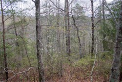 property photo for Hidden Hills Tract 28, 5.09 acres for sale in Sequatchie County, Tennessee