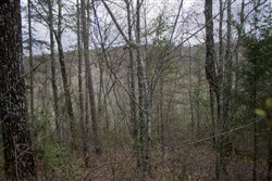 property photo for Hidden Hills Tract 28, 5.09 acres for sale in Sequatchie County, Tennessee