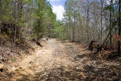 property photo for Hidden Hills Tract 29, 5.27 acres for sale in Sequatchie County, Tennessee