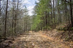 property photo for Hidden Hills Tract 29, 5.27 acres for sale in Sequatchie County, Tennessee