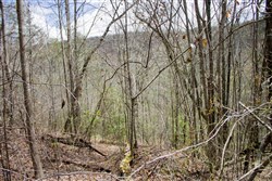 property photo for Hidden Hills Tract 29, 5.27 acres for sale in Sequatchie County, Tennessee
